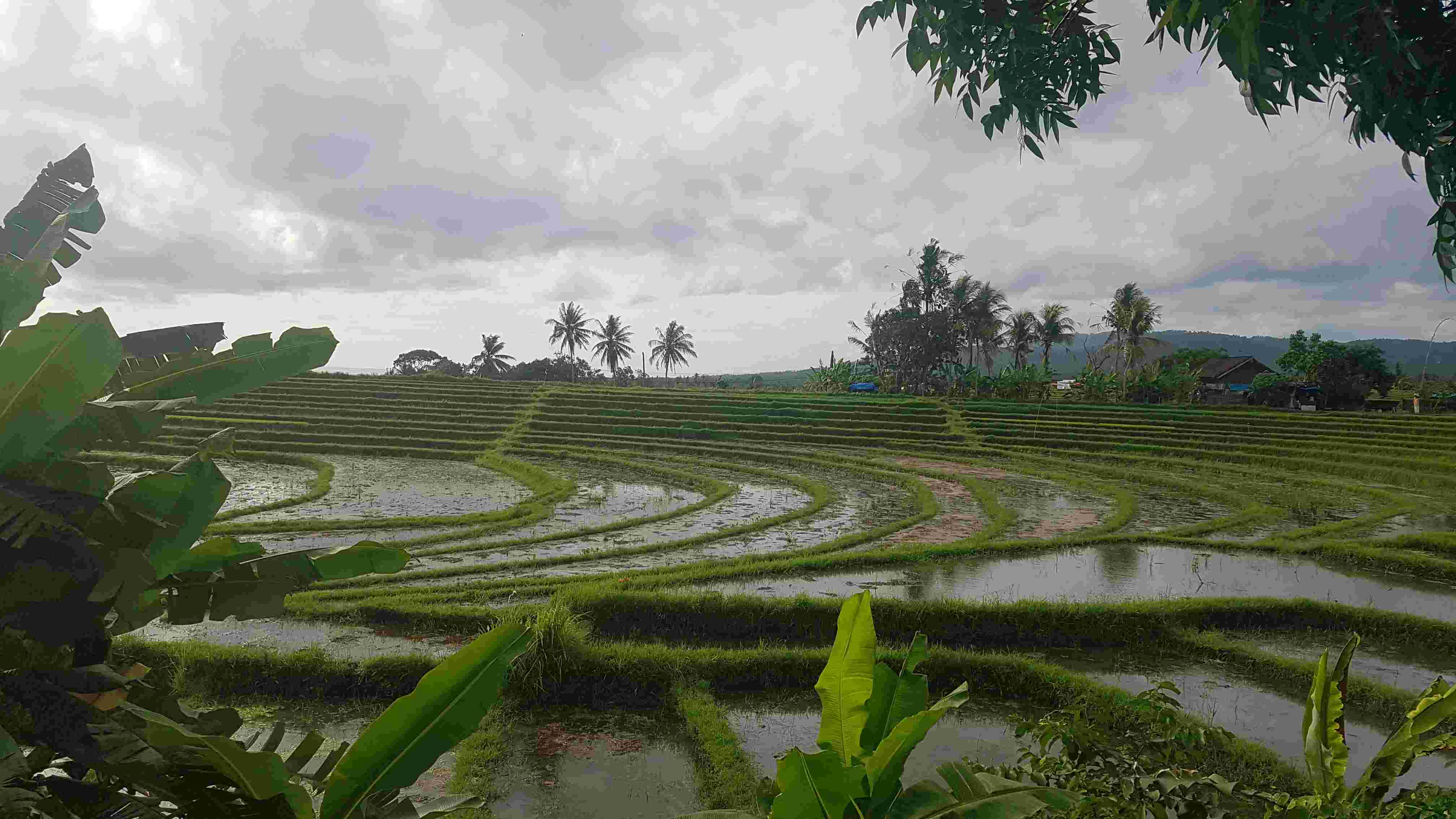 Arc, sector, segment, radians