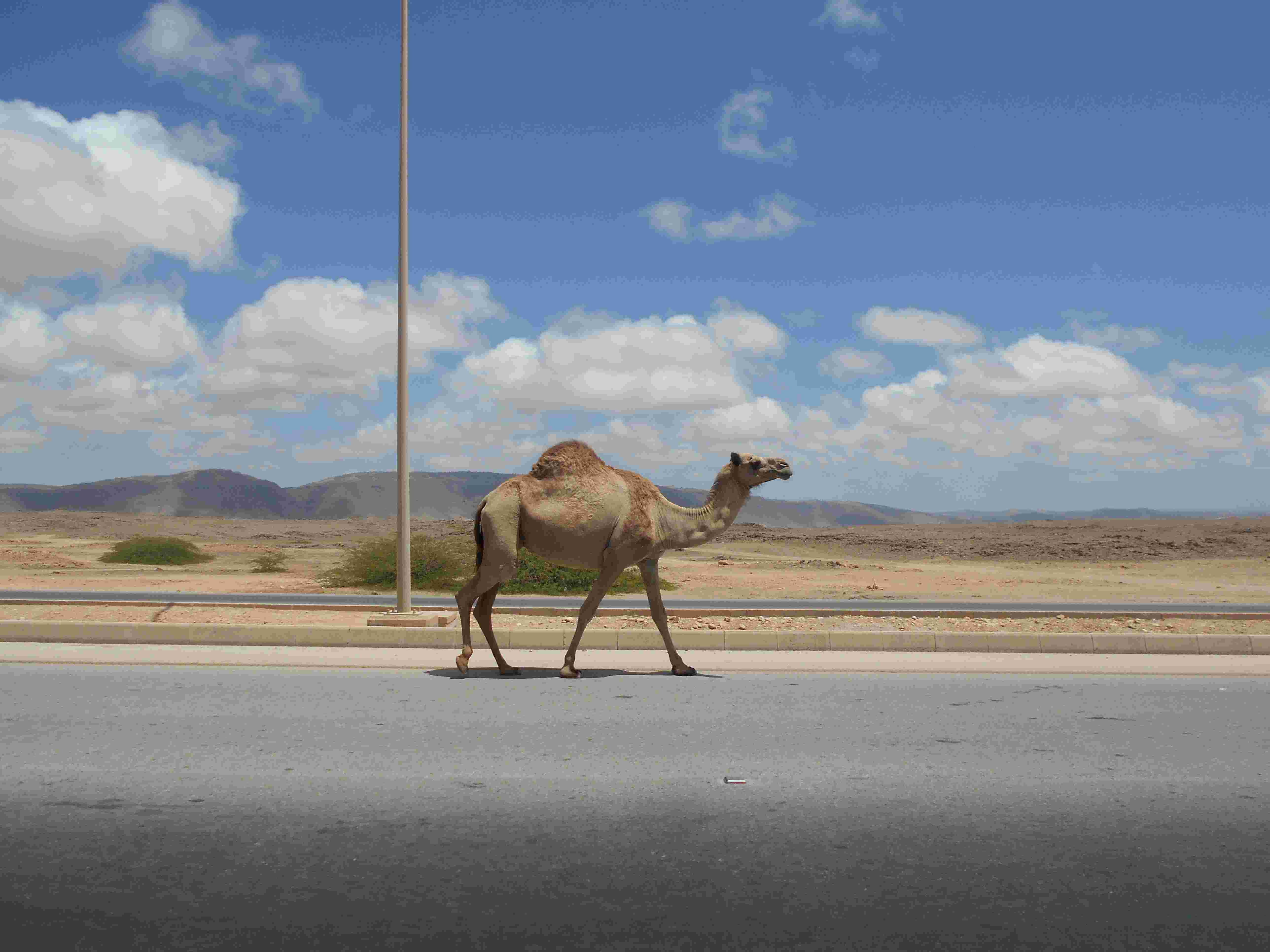 Trigonometric equations